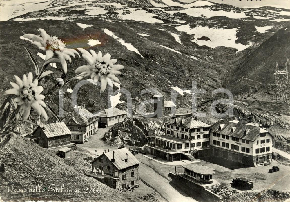 Cartolina originale da collezione 1953 PASSO STELVIO (SO) Veduta dell'Albergo PEREGO *ANIMATA Con auto FG VG 1