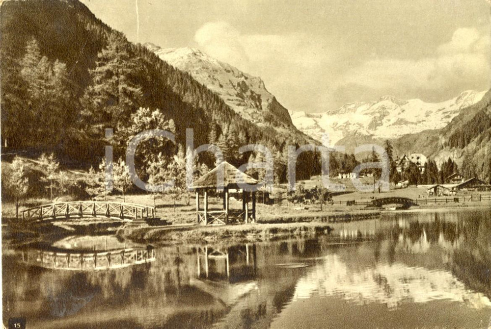 Cartolina originale da collezione 1951 GRESSONEY-SAINT-JEAN (AO) Il laghetto ai piedi del MONTE ROSA *FG VG 1