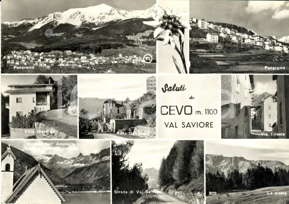 Cartolina originale da collezione 1962 CEVO BS Val SAVIORE Vedutine villa GIARDINO e Via TRIESTE Cartolina VG 1