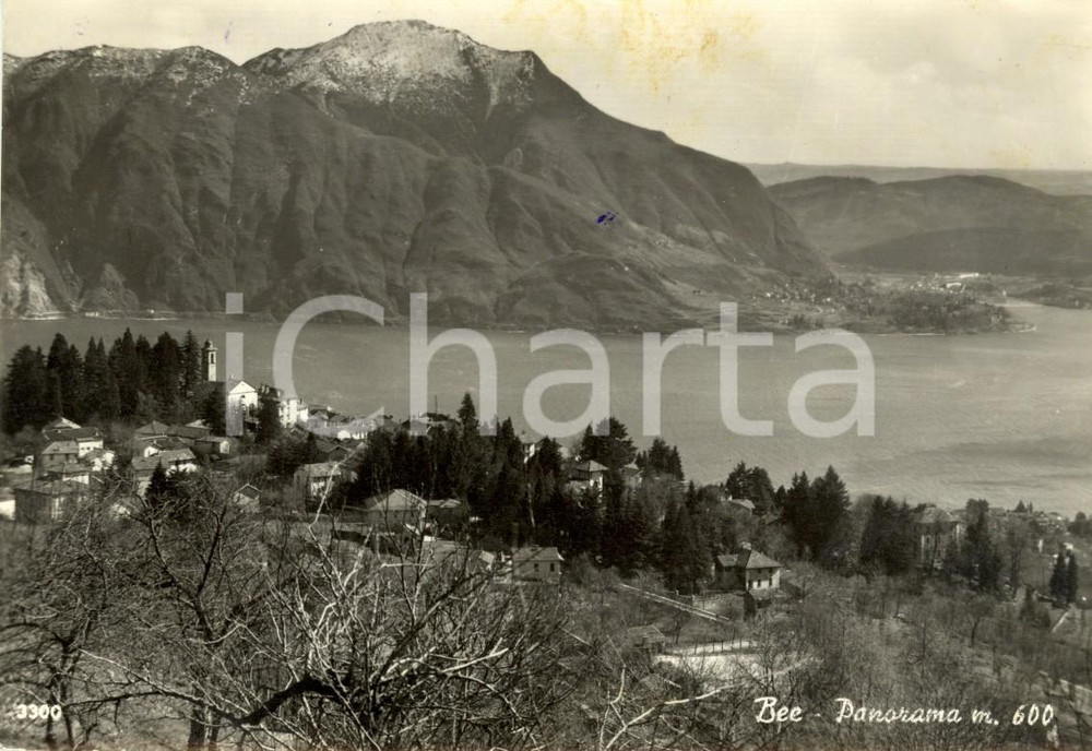 Cartolina originale da collezione 1969 BEE (VB) Panorama del paese e del Lago MAGGIORE *Cartolina FG VG 1