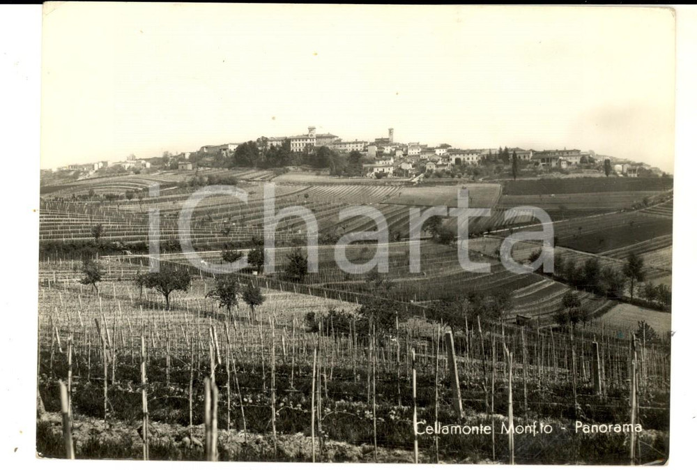 Cartolina originale da collezione 1953 CELLA MONTE AL Panorama con vigneti Cartolina postale  FG VG 1