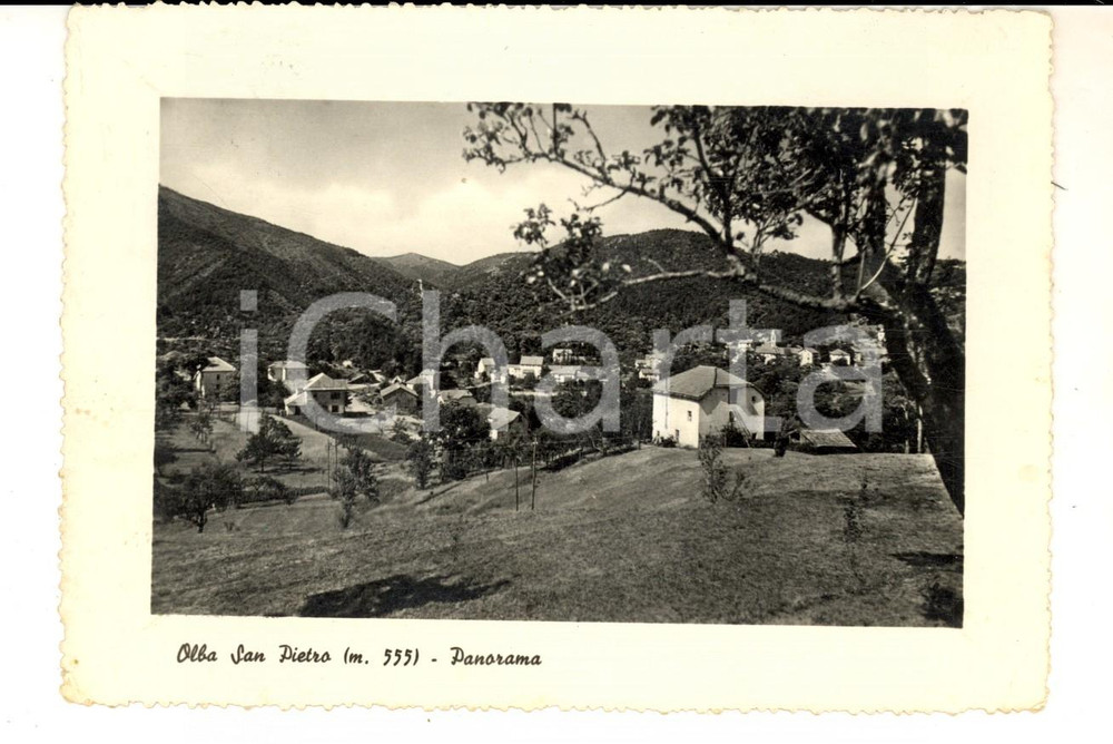 Cartolina originale da collezione 1952 OLBA SAN PIETRO / URBE SV Scorcio panoramico Cartolina postale FG 1