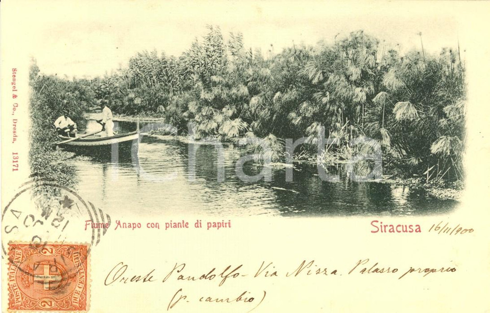 Cartolina originale da collezione 1900 SIRACUSA Fiume ANAPO con piante di papiri *Cartolina ANIMATA con barca VG 1