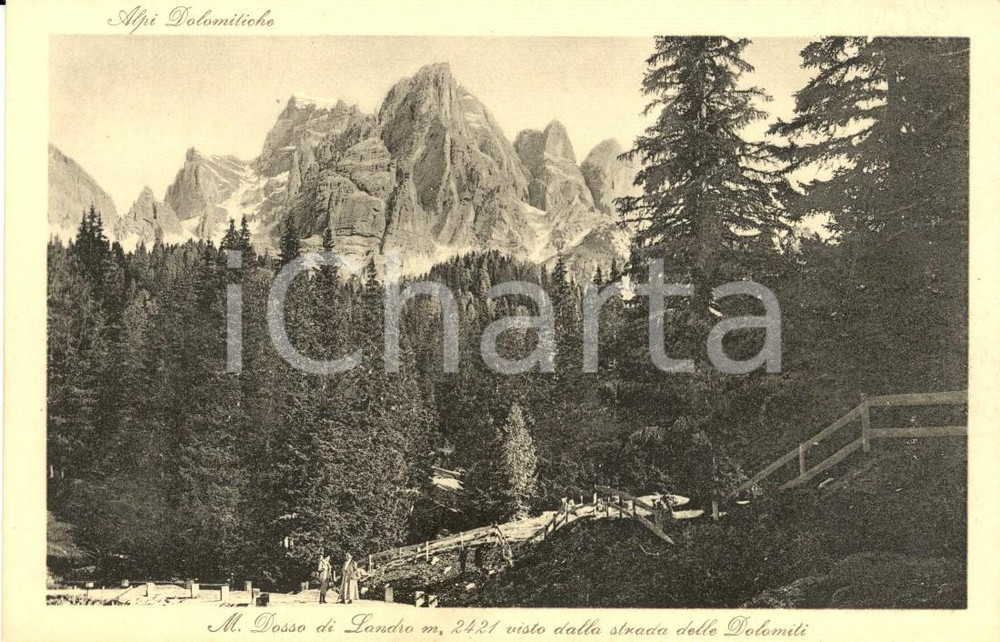 Cartolina originale da collezione 1940 BOLZANO Monte DOSSO di LANDRO visto dalla strada delle DOLOMITI *Cartolina 1