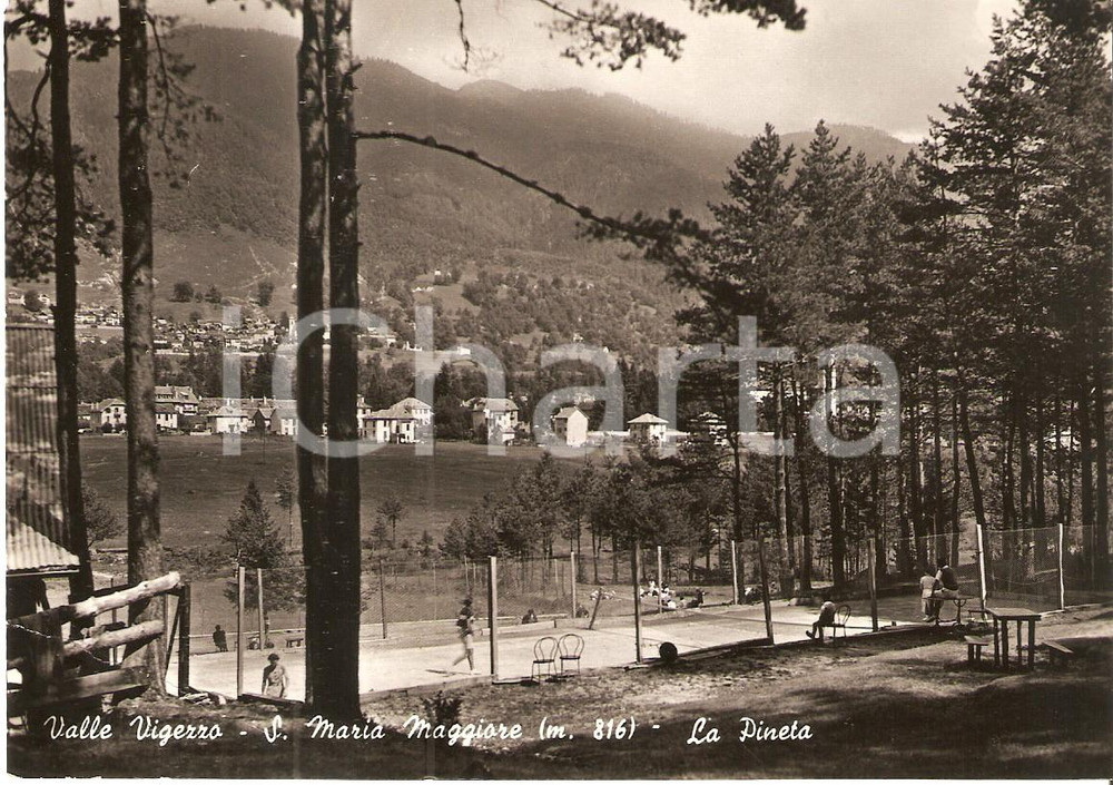 Cartolina originale da collezione 1950 SANTA MARIA MAGGIORE VB Partita di tennis nella pineta Cartolina FG VG 1