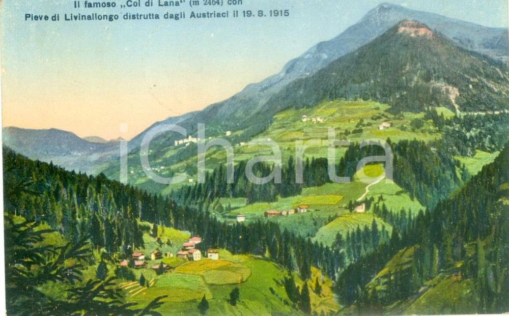 Cartolina originale da collezione 1922 COL DI LANA BL Panorama con Pieve distrutta da Austriaci Cartolina FP VG 1