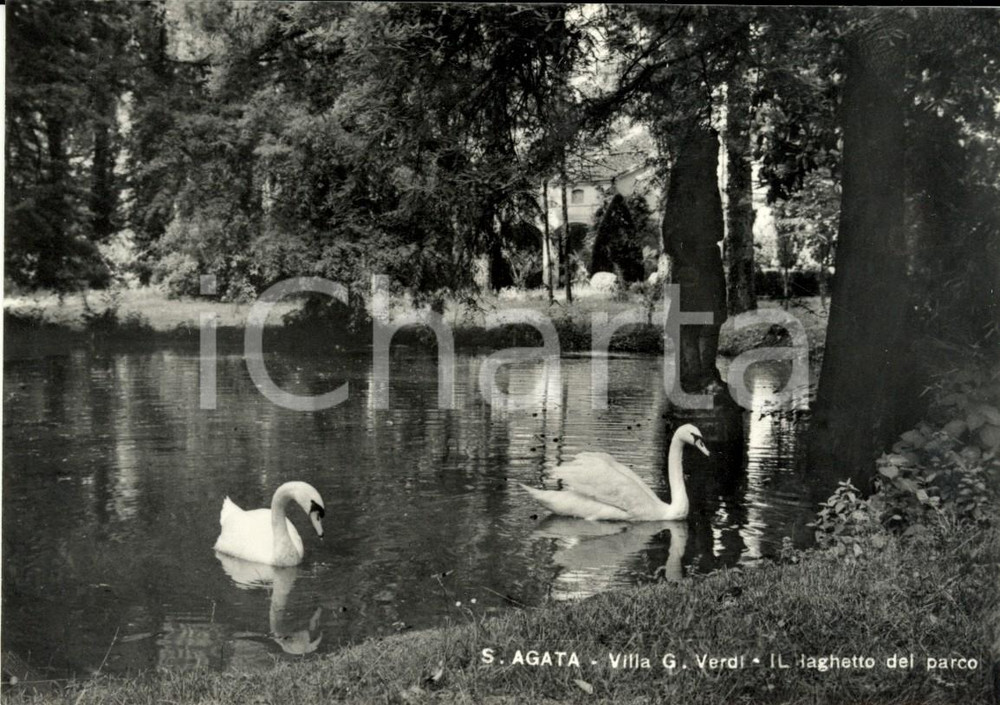 Cartolina originale da collezione 1965 SANT'AGATA (PR) Il laghetto del parco Villa Giuseppe VERDI *Cartolina FG NV 1