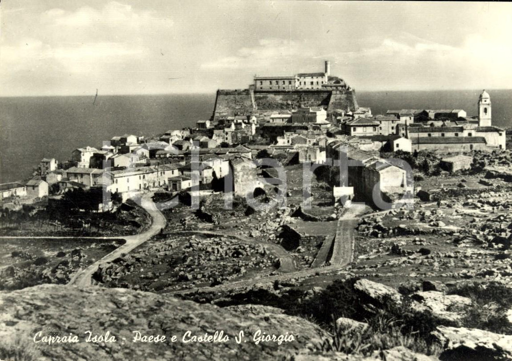Cartolina originale da collezione 1956 ISOLA DI CAPRAIA (LI) Veduta paese e Castello SAN GIORGIO *Cartolina FG VG 1