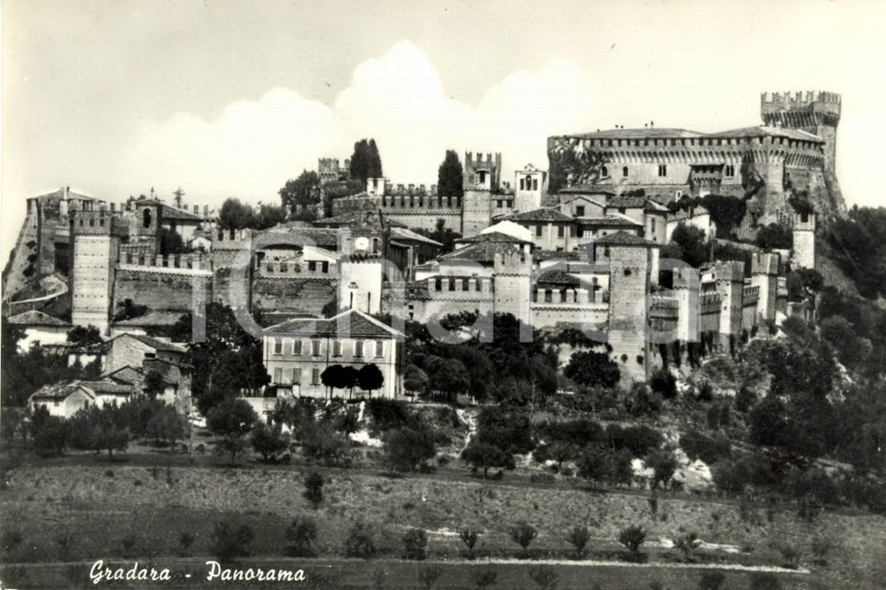 Cartolina originale da collezione 1950 ca GRADARA PU Veduta panoramica del paese con castello Cartolina FG NV 1