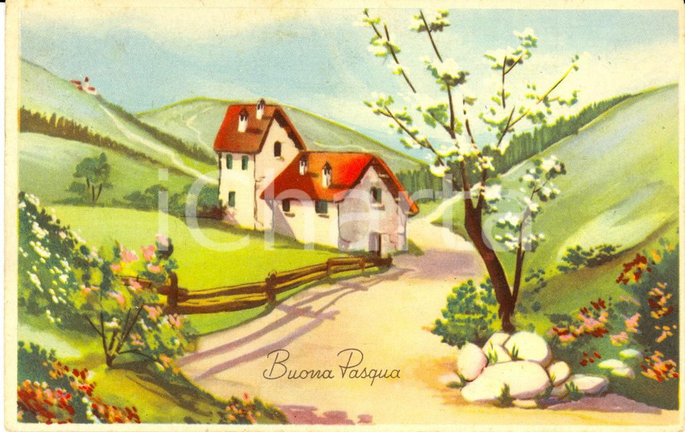 Cartolina originale da collezione 1957 BUONA PASQUA Alberi in fiore in campagna con cascinale Cartolina FP VG 1