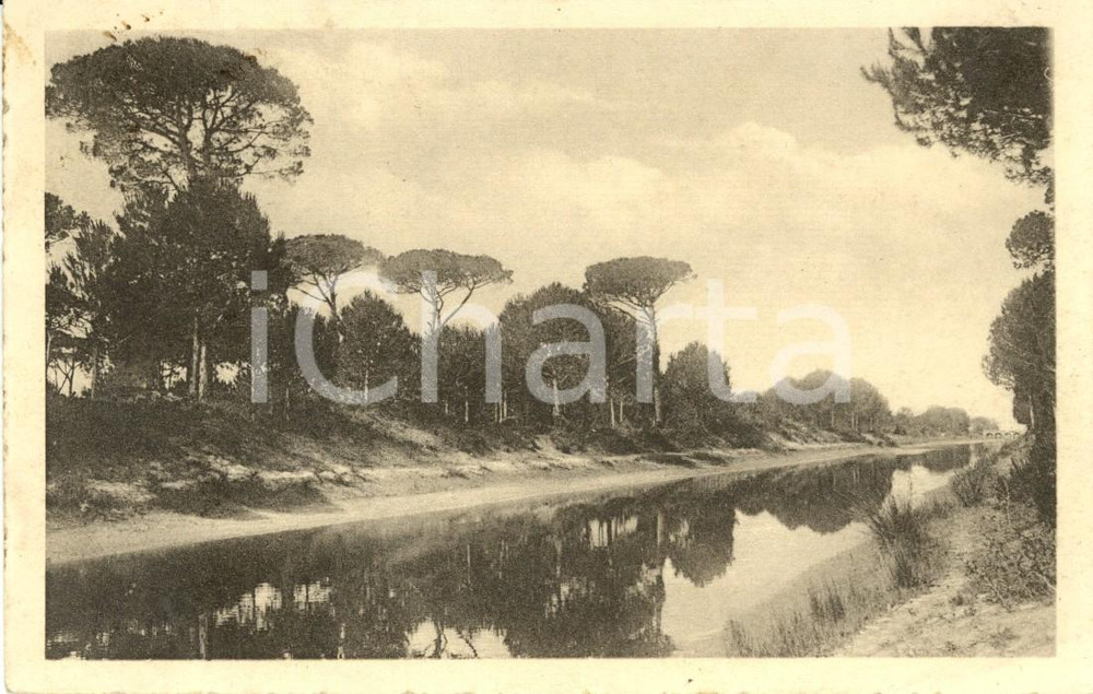 Cartolina originale da collezione 1925 RAVENNA La PINETA Riserva Naturale  Parco Delta del PO Cartolina FP VG 1