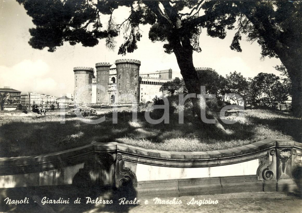 Cartolina originale da collezione 1954 NAPOLI Giardini di Palazzo REALE e MASCHIO ANGIOINO *Cartolina FG VG 1