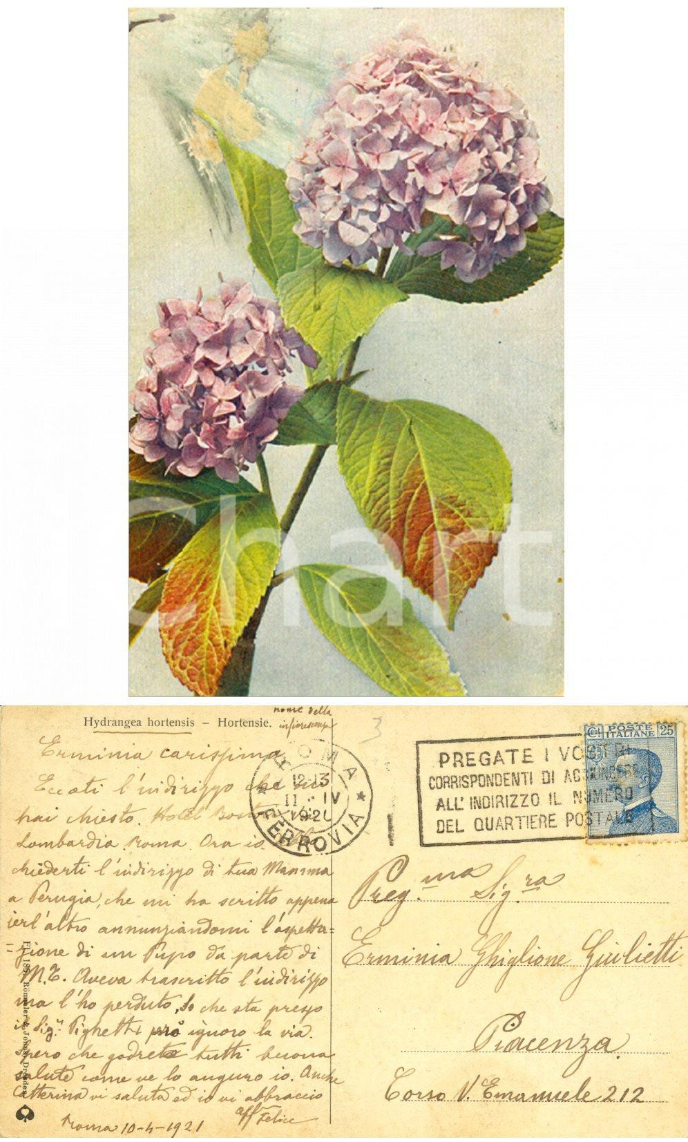Cartolina originale da collezione 1920 ROMA Ramo di ortensia *Cartolina a Erminia GHIGLIONE GIULIETTI FP VG 1