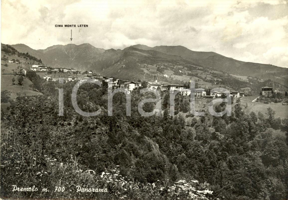 Cartolina originale da collezione 1955 PREMOLO BG Panorama del paese con Monte LETEN Cartolina FG VG 1