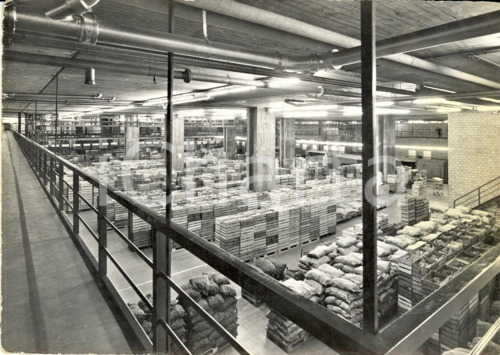 Cartolina originale da collezione 1950 ca ZURIGO (CH) Cooperative MIGROS Centro frutta e verdura *Cartolina FG NV 1