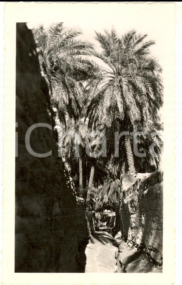 Fotografia d epoca originale 1934 GADAMES LIBIA Una via dell oasi  Gino MATTEUCCI Prototipo di cartolina 1