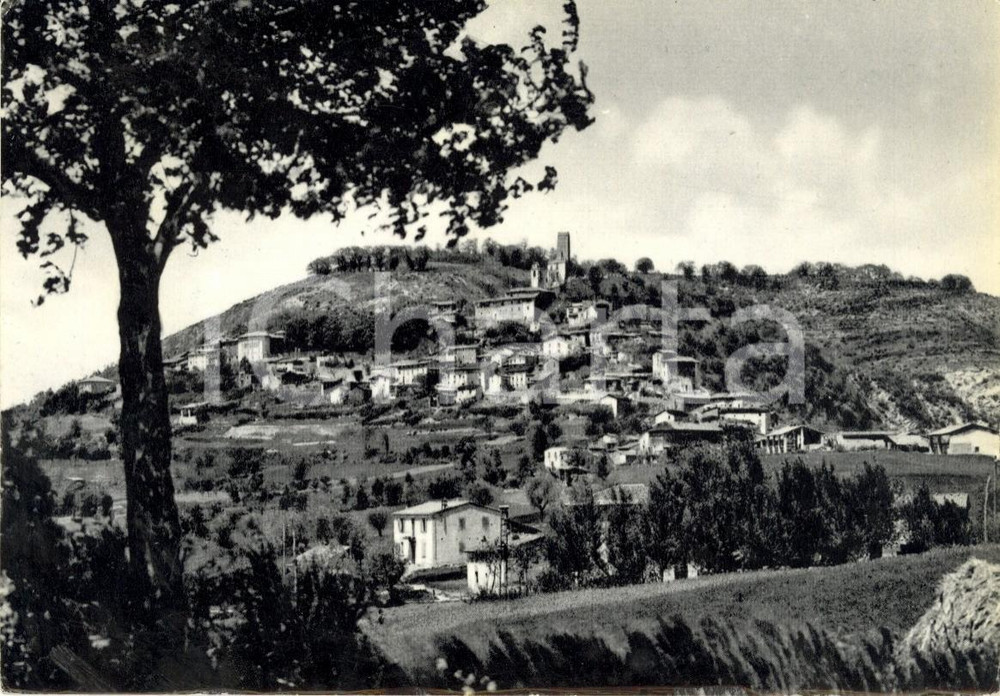 Cartolina originale da collezione 1953 VARZI PV Panorama della frazione PIETRAGAVINA e dintorni Cartolina FG VG 1