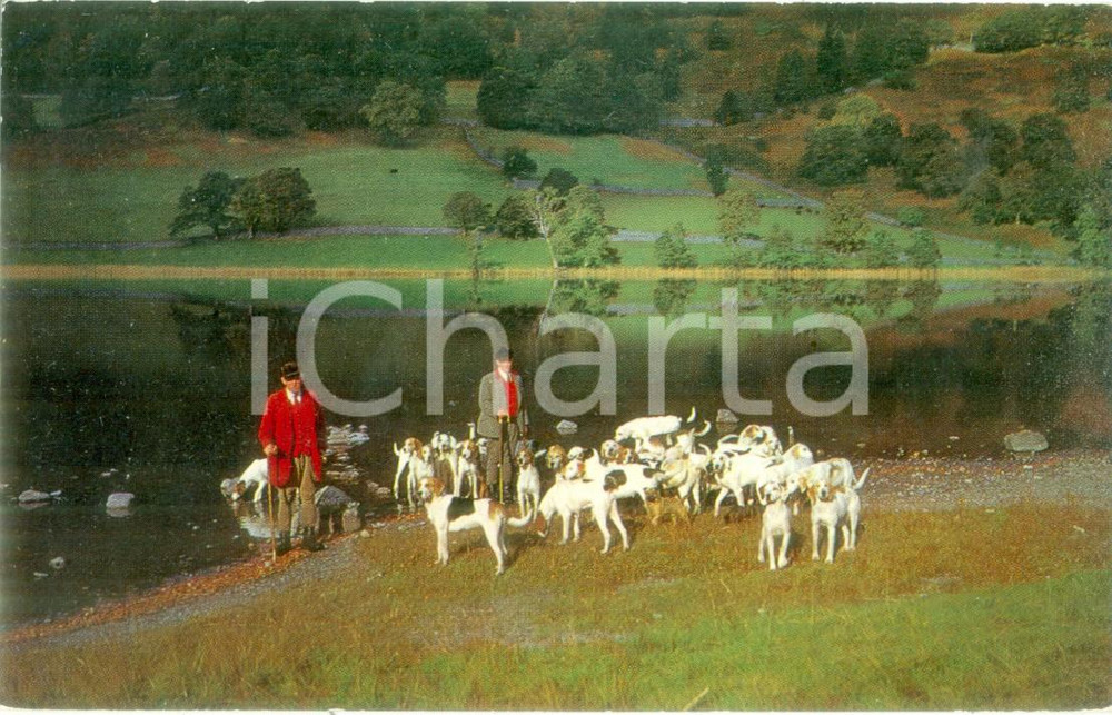 Cartolina originale da collezione 1970 ca CONISTON UK Cacciatori con muta di cani a RYDAL WATER Cartolina FP NV 1
