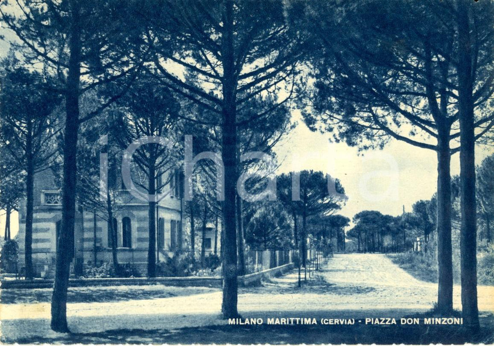 Cartolina originale da collezione 1951 CERVIA (RA) Piazza DON MINZONI a MILANO MARITTIMA *Cartolina postale FG VG 1