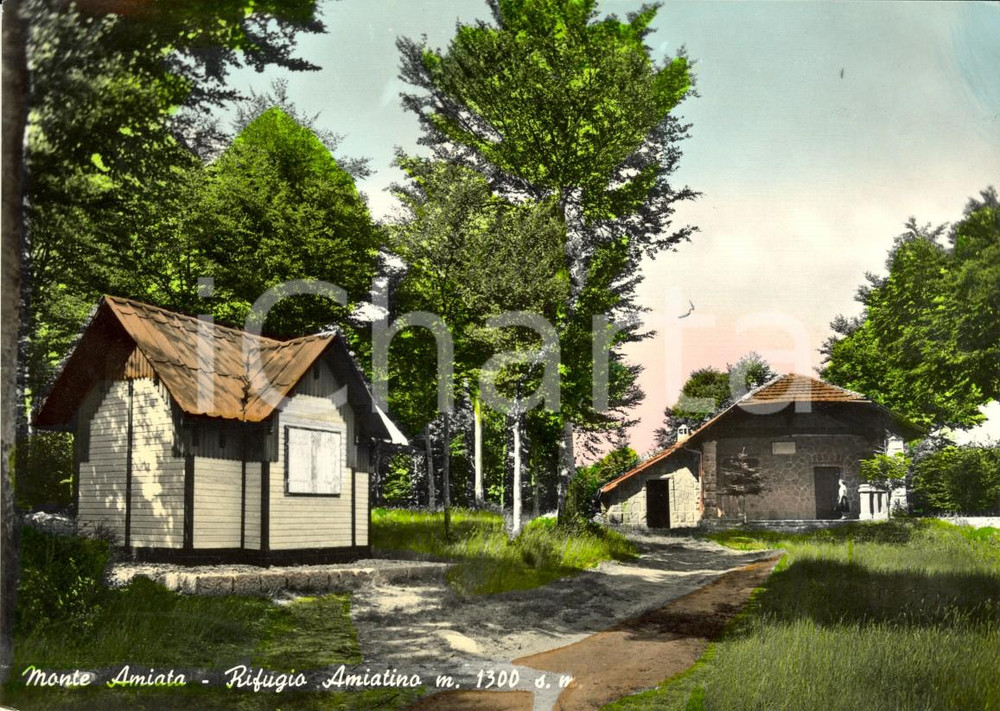 Cartolina originale da collezione 1956 RIFUGIO AMIATINO (SI) Veduta frazione sul Monte AMIATA *Cartolina FG VG 1
