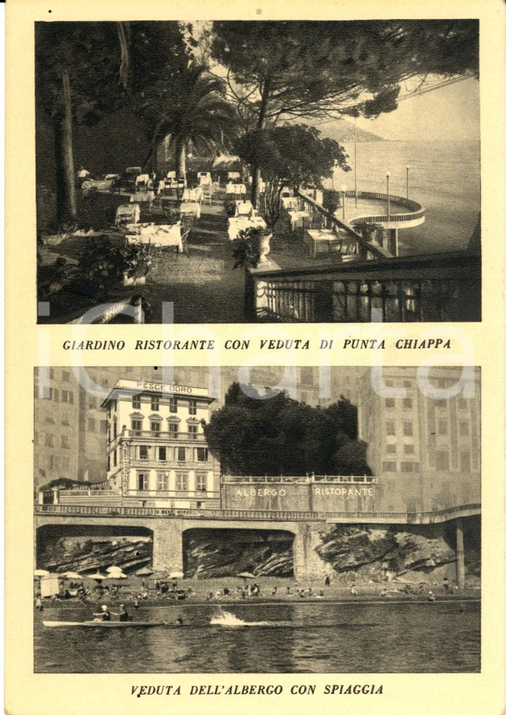 Cartolina originale da collezione 1940 ca CAMOGLI (GE) Albergo PESCE D'ORO di Marianna PICCIONI *Cartolina FG VG 1