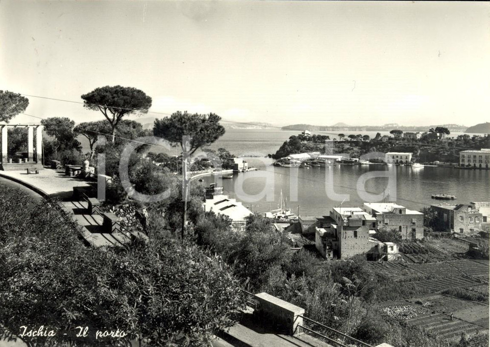 Cartolina originale da collezione 1956 ISCHIA NA Veduta panoramica del porto Cartolina postale FG VG 1