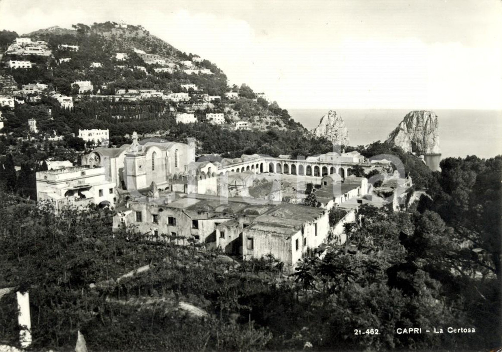Cartolina originale da collezione 1950 ca CAPRI NA Veduta della Certosa di SAN GIACOMO Cartolina postale FG VG 1