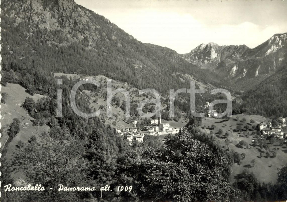Cartolina originale da collezione 1960 RONCOBELLO BG Veduta panoramica paese e vallata Cartolina FG VG 1