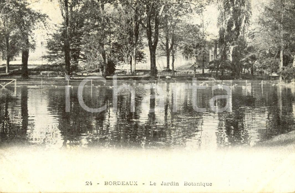 Cartolina originale da collezione 1905 ca BORDEAUX FRANCE Le Jardin Botanique Cartolina postale FP NV 1