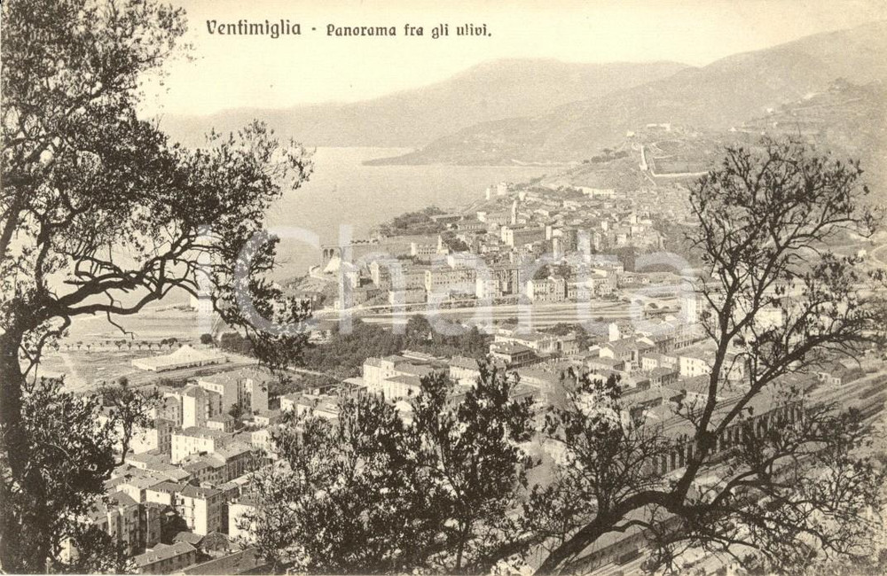 Cartolina originale da collezione 1920 ca VENTIMIGLIA IM Panorama fra gli ulivi Cartolina postale FP NV 1