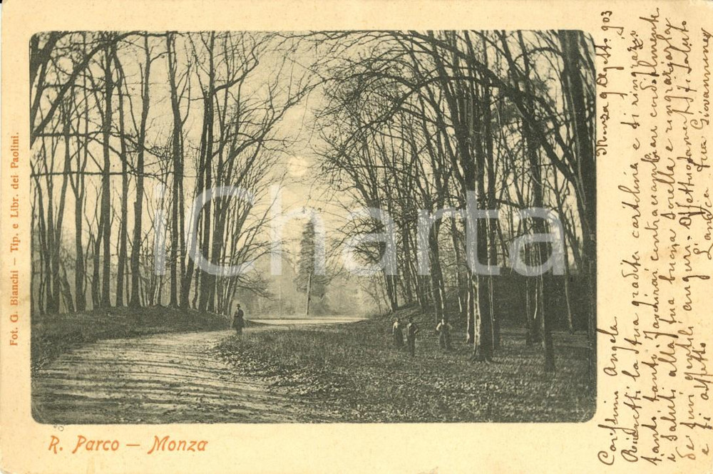 Cartolina originale da collezione 1903 MONZA MB Viale alberato nel Regio Parco Cartolina postale ANIMATA FP VG 1