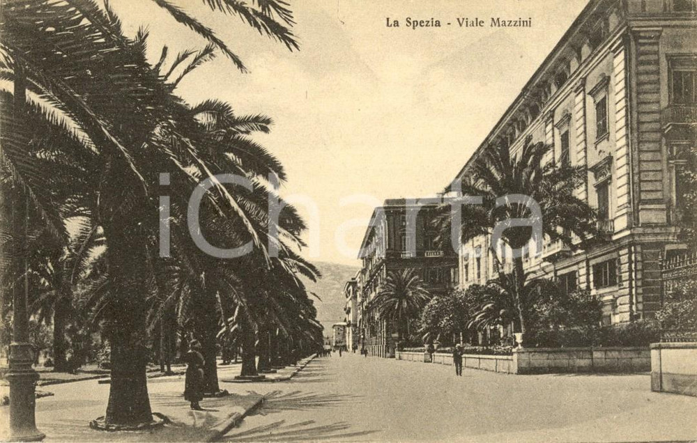 Cartolina originale da collezione 1926 LA SPEZIA Palmizi lungo Viale MAZZINI *Cartolina postale ANIMATA FP VG 1
