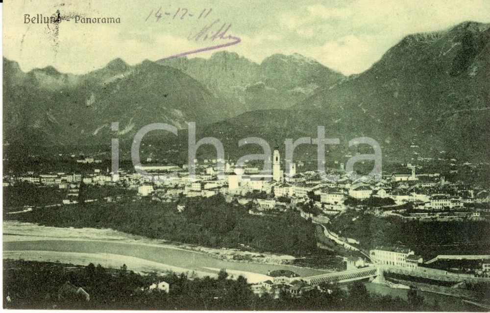 Cartolina originale da collezione 1911 BELLUNO Panorama del paese con ponte sul fiume PIAVE Cartolina FP VG 1