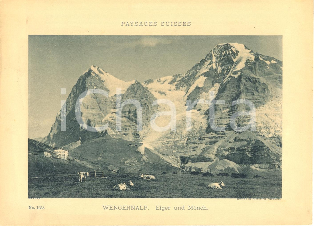 Cartolina originale da collezione 1940 ca WENGERNALP CH Paysage suisse  Eiger und Monch Cartoncino ILLUSTRATO 1