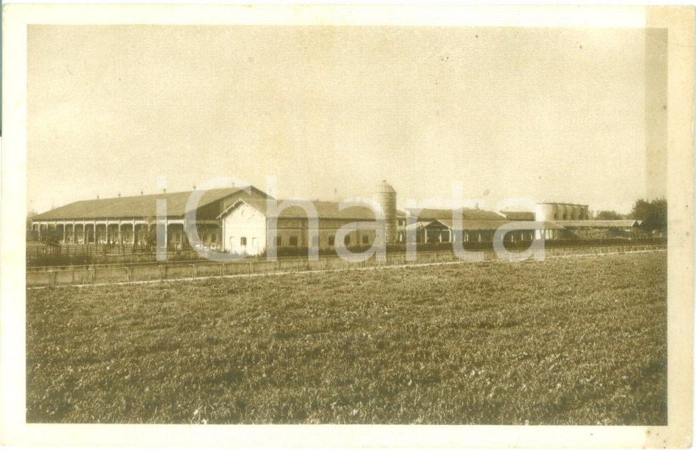 Cartolina originale da collezione 1935 ca VIDIGULFO (PV) Azienda Agricola VAIRANO *Cartolina FP NV 1