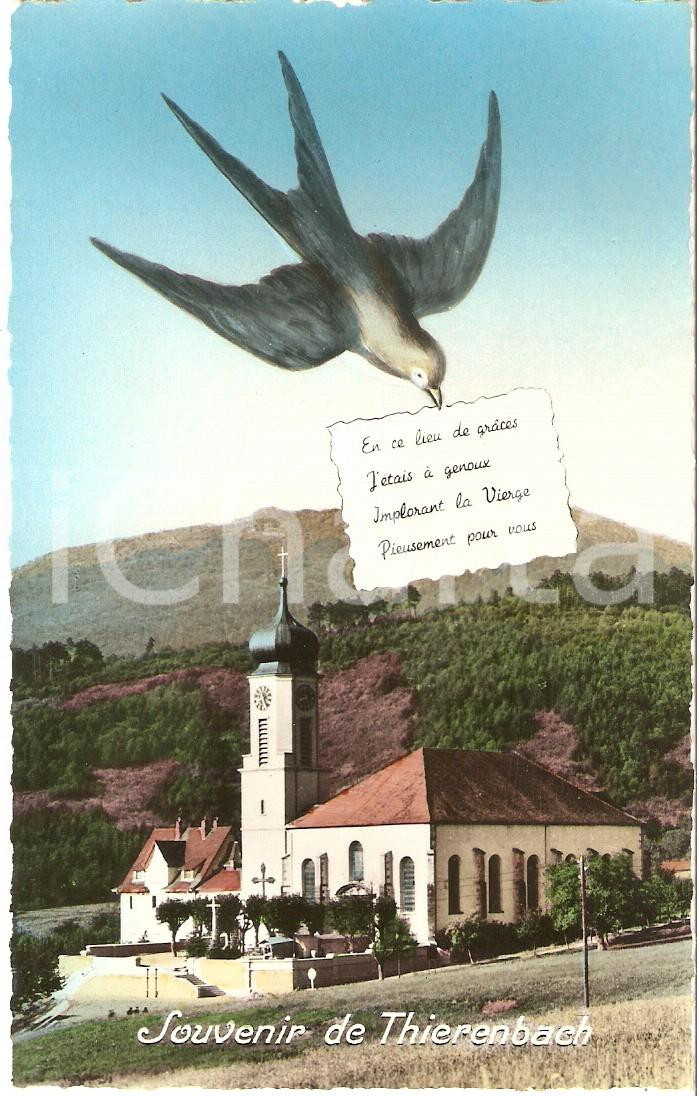 Cartolina originale da collezione 1950 ca JUNGHOLTZ FRANCE Rondine vola su Santuario THIERENBACH  Cartolina FP 1