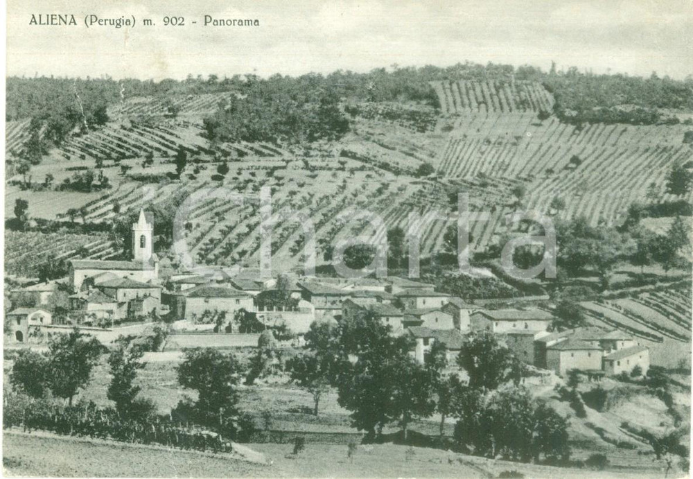 Cartolina originale da collezione 1955 NORCIA PG Panorama della frazione ALIENA Cartolina DANNEGGIATA FG VG 1
