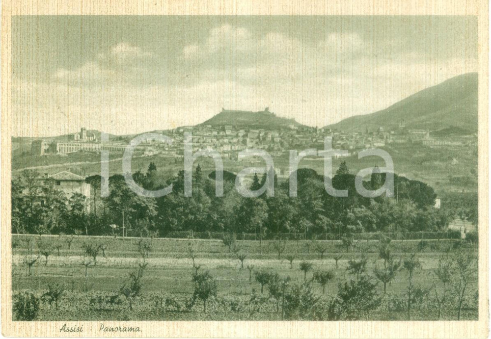 Cartolina originale da collezione 1940 ASSISI PG Panorama del paese e della Basilica Cartolina FG VG 1