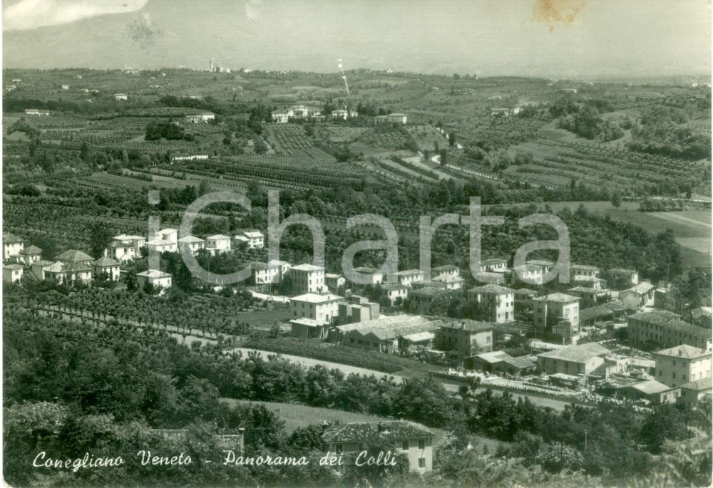 Cartolina originale da collezione 1955 CONEGLIANO (TV) Panorama generale dei colli *Cartolina FG VG 1