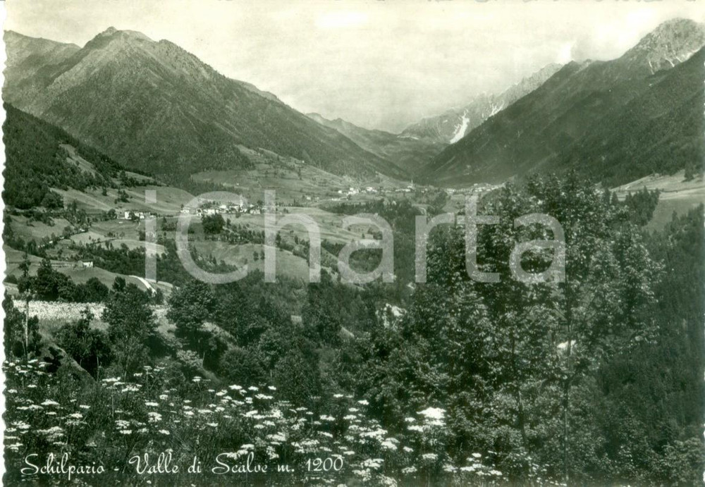 Cartolina originale da collezione 1955 ca SCHILPARIO BG Panorama della Valle di SCALVE Cartolina FG NV 1