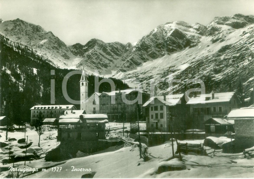 Cartolina originale da collezione 1955 ca MACUGNAGA VB Panorama invernale del paese Cartolina FG NV 1