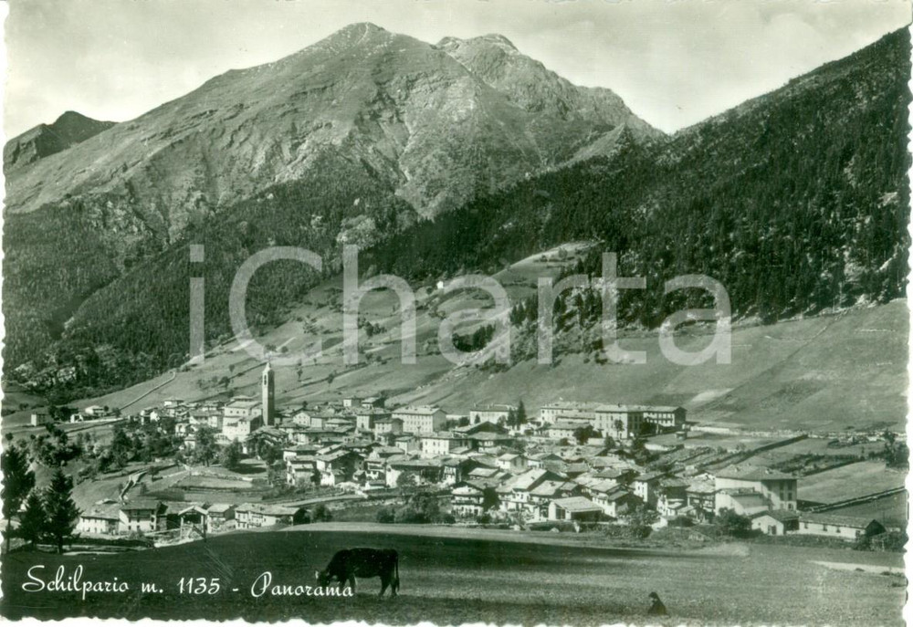 Cartolina originale da collezione 1955 ca SCHILPARIO BG Panorama del paese e della valle Cartolina FG NV 1
