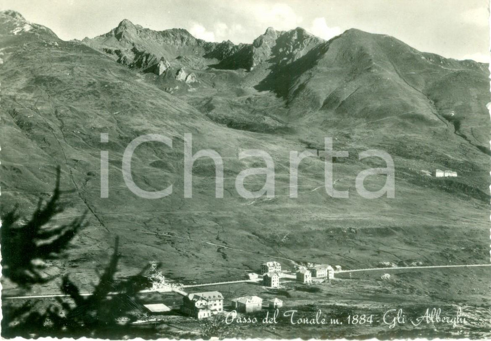 Cartolina originale da collezione 1955 PASSO DEL TONALE TN Gli alberghi nella valle Cartolina FG VG 1
