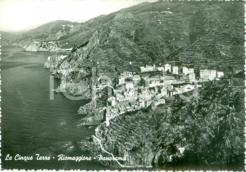 Cartolina originale da collezione 1961 RIOMAGGIORE (SP) Panorama delle Cinque Terre *Cartolina FG VG 1