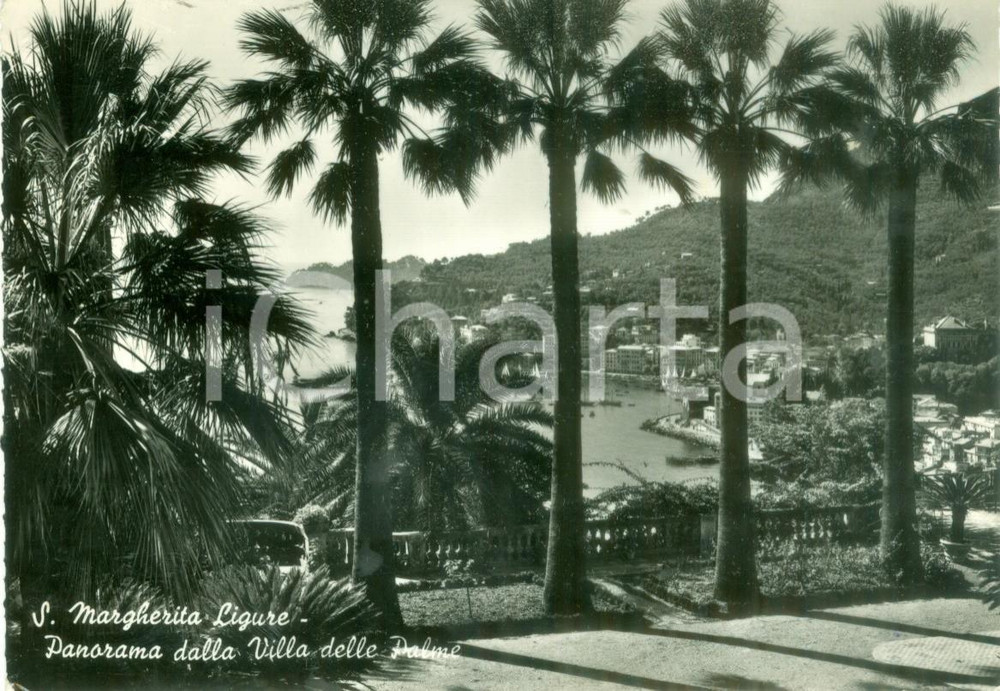 Cartolina originale da collezione 1957 SANTA MARGHERITA LIGURE (GE) Panorama da Villa delle Palme *Cartolina FG VG 1