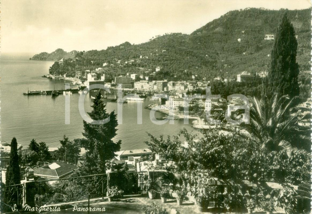 Cartolina originale da collezione 1952 SANTA MARGHERITA LIGURE (GE) Panorama del paese *Cartolina FG VG 1