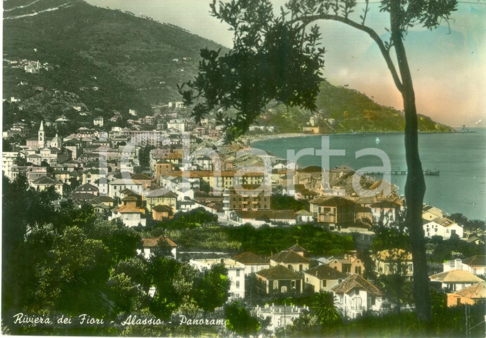 Cartolina originale da collezione 1960 ca ALASSIO (SV) Panorama della Riviera dei Fiori *Cartolina FG VG 1