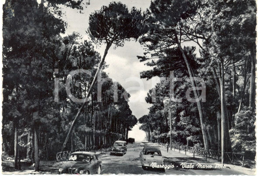 Cartolina originale da collezione 1956 VIAREGGIO (LU) Taxi in Viale MARCO POLO *Cartolina FG VG 1