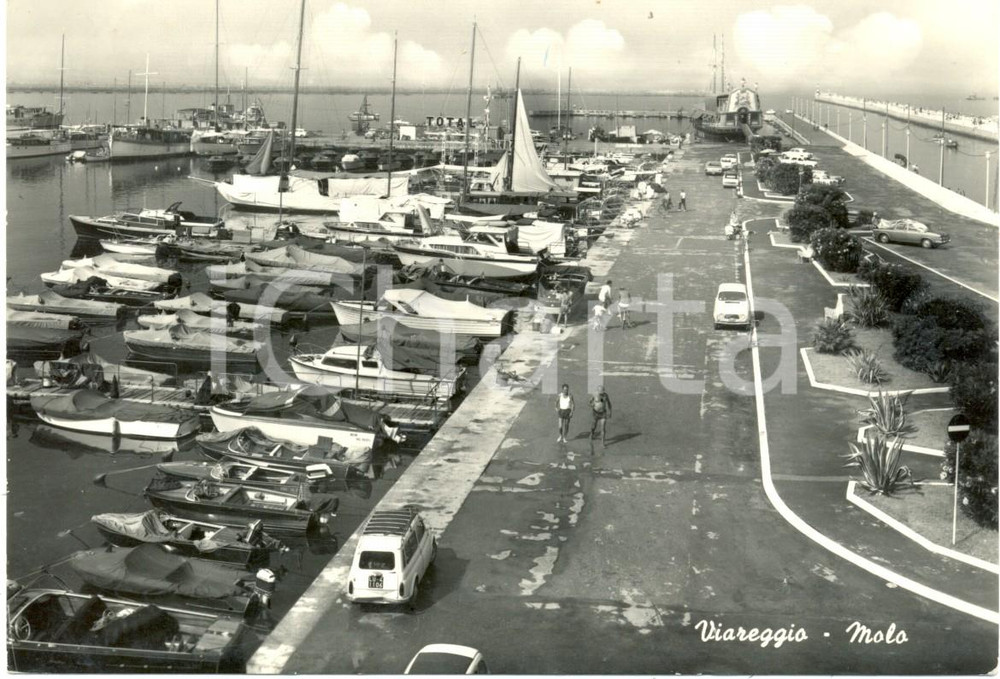 Cartolina originale da collezione 1964 VIAREGGIO (LU) Barche e motoscafi all'attracco al MOLO *ANIMATA FG VG 1
