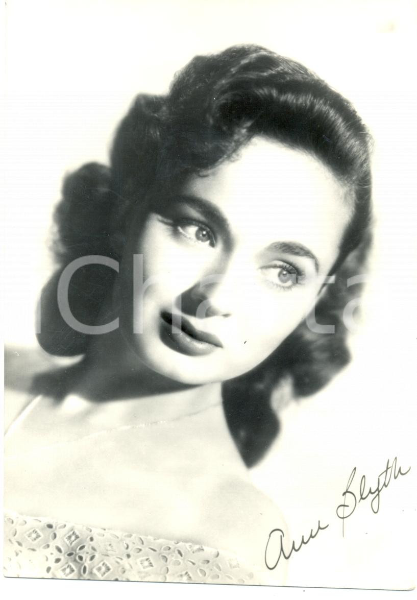 Cartolina originale da collezione 1955 ca CINEMA Ann BLYTH Attrice Ritratto fotografico Cartolina FG NV 1